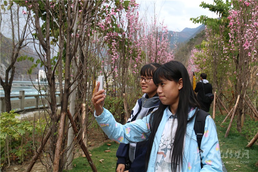春光俏！“醉”是瀘定春三月，踏青賞花正當時