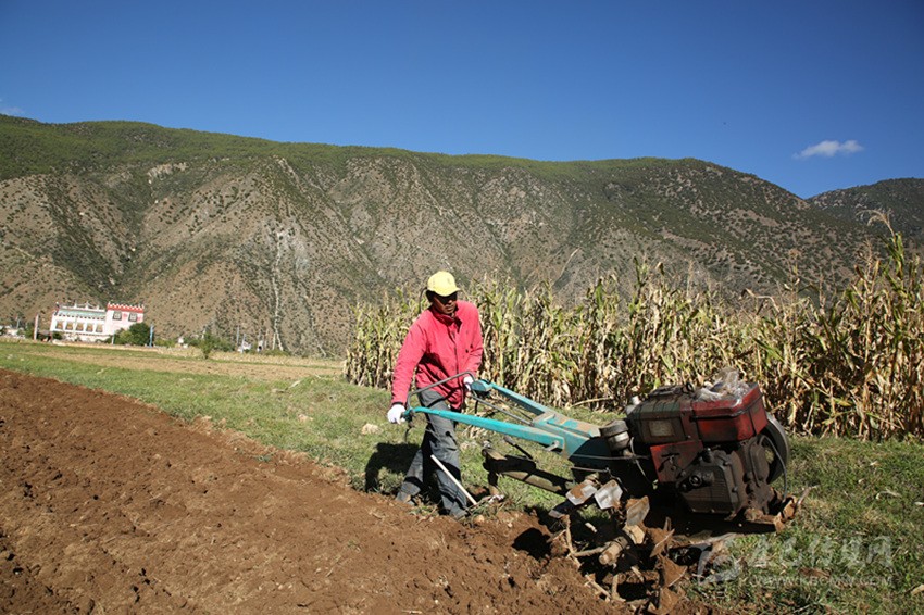 田園藏鄉(xiāng)美如畫，百姓脫貧喜在心