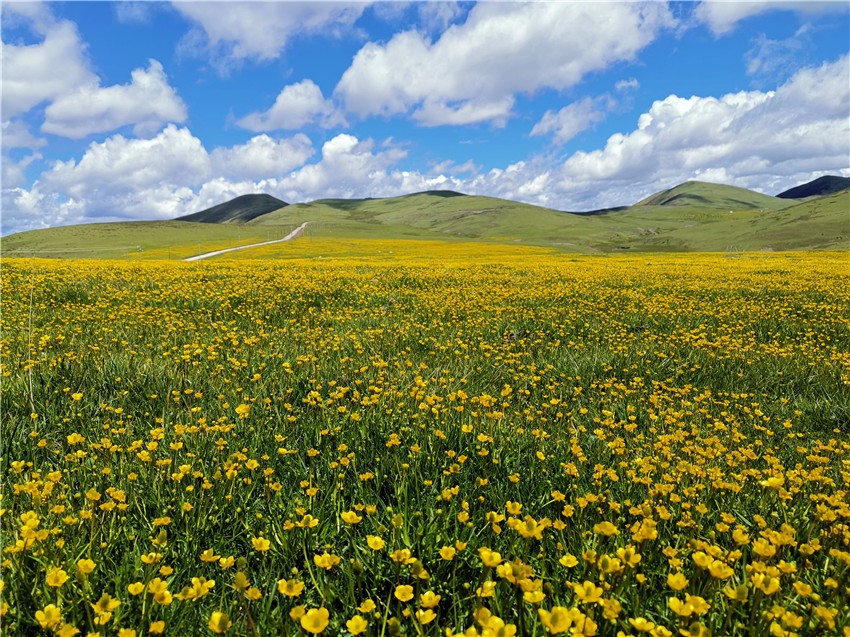 祝?；ê? 任剛.jpg