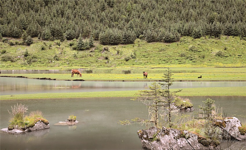 去甘孜 邂逅絕美湖泊海子！