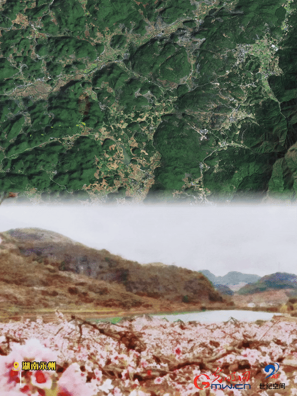 清明游玩賞花圖鑒來了！衛(wèi)星鏡頭帶你先睹為快