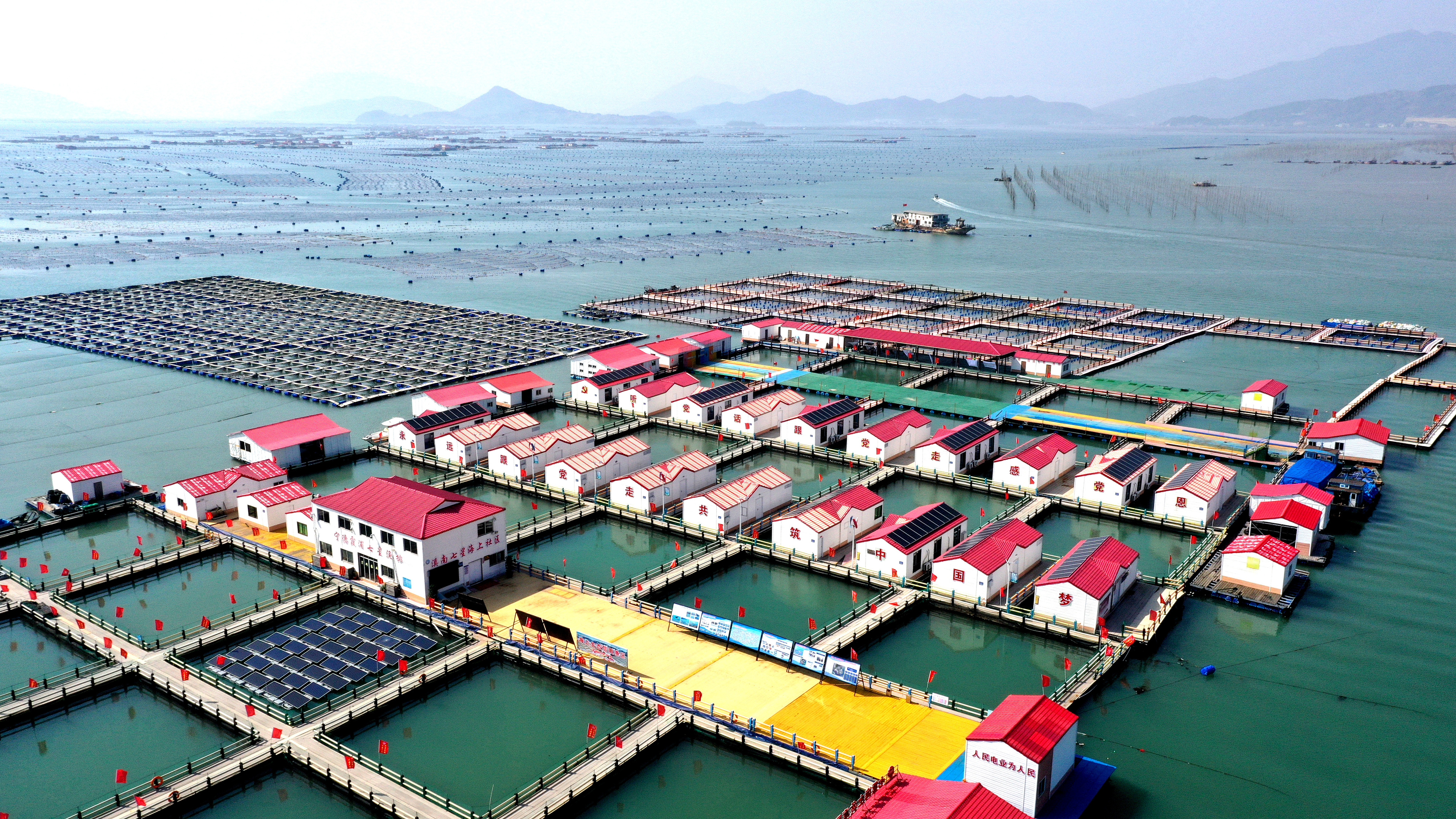 2024年3月20日，福建省寧德市，霞浦縣溪南鎮(zhèn)七星村漁排養(yǎng)殖示范區(qū)，漁民駕駛養(yǎng)殖船進(jìn)行海參養(yǎng)殖作業(yè)。